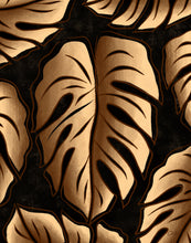 Load image into Gallery viewer, Monstera - Cream Leaf