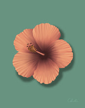 Load image into Gallery viewer, Sweet Hibiscus
