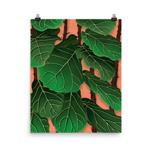 Load image into Gallery viewer, Fiddle Leaf Fig Tree
