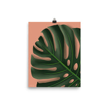 Load image into Gallery viewer, Monstera Up Close
